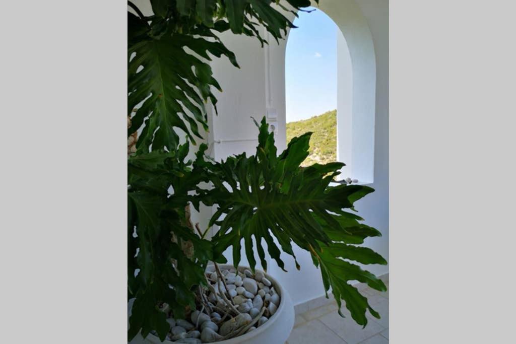 Village View Nea Epidavros Exterior photo